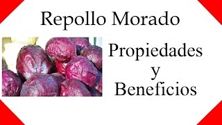 para que sirve repollo morado  propiedades y beneficios del repollo morado [upl. by Anifur]