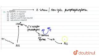 For NADPH  H formation [upl. by Ahsier420]