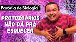 PARÓDIA PROTOZOÁRIOS Não dá pra Esquecer Paródia de Biologia [upl. by Walcoff]