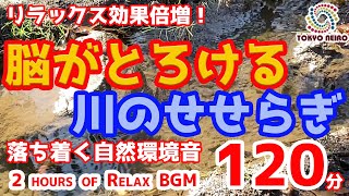 脳がとろけるように眠くなる睡眠導入 小川せせらぎ（リラックス効果 不眠症 不眠症解消 ぐっすり眠る 癒しの音） [upl. by Kerns967]