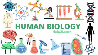 3 A Level Human Biology  Cystic Fibrosis and its impact on the body 🧍‍♀️ [upl. by Carmina]