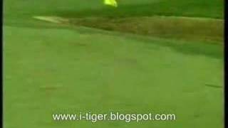 Tiger Woods Great Hole In One [upl. by Ykcim]