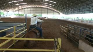 Rancho JS  Laço em Mula  A História de um Pionerismo [upl. by Thecla345]