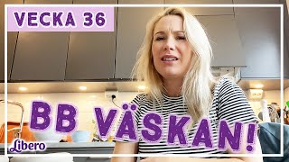 Är BBväskan ÖVERHYPAD Ellen Bergström vecka 36 [upl. by Zsuedat]