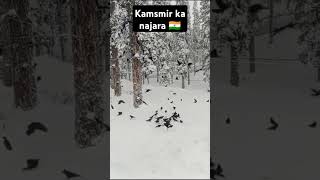 Kasmir ka najara Attitude Status Indian Army Whatsapp Status Foji StatusVideo indianarmy army [upl. by Nalla]