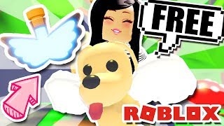 NEW Adopt Me Desert Egg Pets in Roblox [upl. by Mitzie]