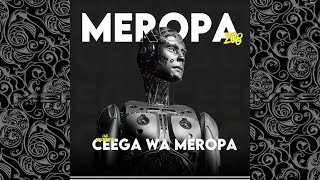 Ceega  Meropa 208 House Music Is Life Itself [upl. by Lleinad]