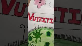 easy chart of nutrition in amoeba and paramecium for class 7th youtube shorts like subscribe [upl. by Corrine]