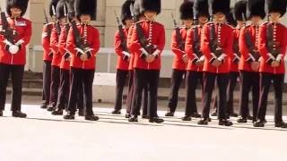 Inspection Nijmegen Company Grenadier Guards [upl. by Ogu113]