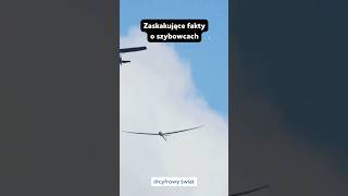 Zaskakujące fakty o szybowcach🤯 [upl. by Atilrahc]