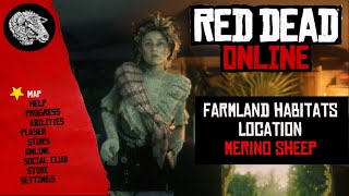 RDR2 Online  Merino Sheep Location  Farmland Habitats [upl. by Enneirda567]