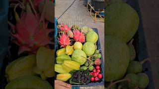 Fruits harvesting in my garden fruits mygarden harvesting gardening shortvideo ytshorts [upl. by Une]