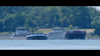 111 ShipspottingBinnenschiffe  Schiffe auf dem Rhein auf Insel Kühkopf Vosta  MainTauber [upl. by Neroled]