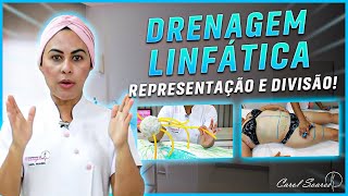 DRENAGEM LINFÁTICA  DEFINIÇÃO REPRESENTAÇÃO E COMO DIVIDIR [upl. by Eloken]