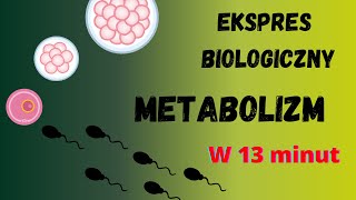 Ekspres Biologiczny  Metabolizm Biologia rozszerzona do matury [upl. by Odnam]