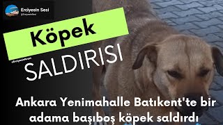 Köpek Saldırısı Ankara Yenimahalle Batıkentte bir adama başıboş köpek saldırdı [upl. by Karilynn149]