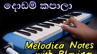 Dodam Kapala Notation  Olinda Keliya Music Sir සංගීත සර් Melodica Music Sinhala [upl. by Giraud111]