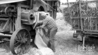 Vieux métiersAgriculture dautrefoisfête des battagesPaysannerieBattage à lancienne [upl. by Gerge409]