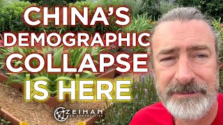 New Chinese Demographic Data  Population Collapse  Peter Zeihan [upl. by Stortz]