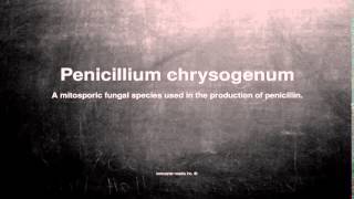 Medical vocabulary What does Penicillium chrysogenum mean [upl. by Idahs]