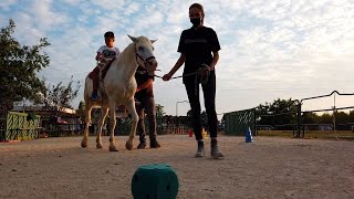 Fieracavalli risultati del progetto Riding The Blue [upl. by Einafats701]