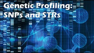 Genetic Profiling SNPs and STRs [upl. by Sedgewick]