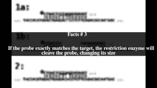 Oligomer restriction Top  5 Facts [upl. by Akienahs]