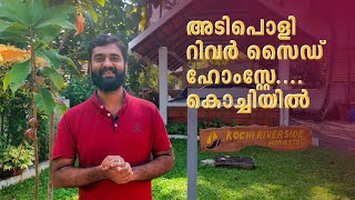 KOCHI RIVERSIDE HOMESTAY  A DAY WITH SHIJO  VLOG 6 [upl. by Raimondo]