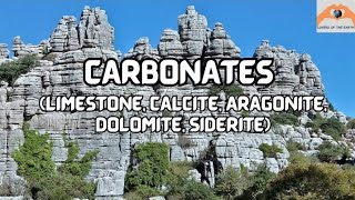 Lecture 6 Carbonates Limestone Calcite Aragonite Dolomite Siderite geology sedimentaryrocks [upl. by Alexander]