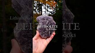 BIG flashy Lepidolitethis Friday crystals lepidolite purplecrystals crystalcollection [upl. by Ellesig754]