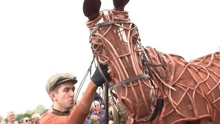 WAR HORSE London  Joey im Londoner Hyde Park [upl. by Heer]