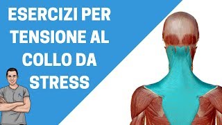 Tensione al collo da stress consigli ed esercizi [upl. by Nitsirt]