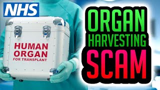 Organ Harvesting Scam Unveiled [upl. by Arhas]