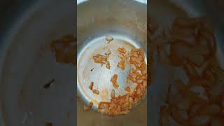 Day 4 in Rice cooker viralvideo shorts food ricecooker trending trendingsong [upl. by Coy226]