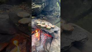 Doğal Taş Üstünde Kabak Halka kebabı  Cooking zucchini ring kebab on natural stone 🥩 [upl. by Frazier949]