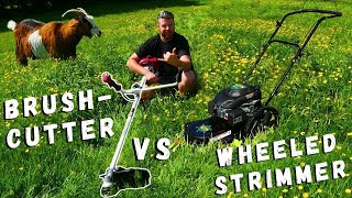 Unveiling the Unexpected Comparing Brushcutters and Wheeled Strimmers [upl. by Lienahs522]