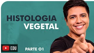 HISTOLOGIA VEGETAL PARTE 01  BOTÂNICA  Prof Kennedy Ramos [upl. by Isbel]