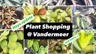 Plant Shopping at Vandermeer Nursery  Amazing Hoya Tropical Plants Succulents amp Cactus [upl. by Atlante]