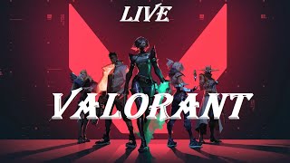 LETS GOO  VALORANT LIVE  FORGOTTEN ME  ROAD TO 300 SUBSCRIBERS [upl. by Ialda]