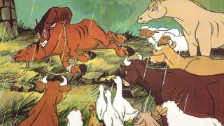 Top 10 Notes Animal Farm [upl. by Ingalls]