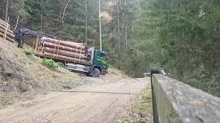 Holztransport Mutten [upl. by Fabiolas]