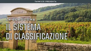 I Grand Cru e la classificazione dei vini di Borgogna  Tannico Flying School [upl. by Fred]