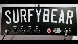 THE DRIPPIEST Surfy Industries SurfyBear Metal Spring Reverb Demo [upl. by Doowron]