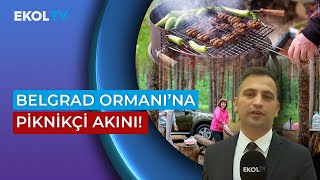 Sıcaktan Bunalanlar Ormana Akın Etti [upl. by Aelam]