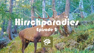 HIRSCHPARADIES  PalormaNature mit Mario amp Stefan  Episode 2 [upl. by Bottali]