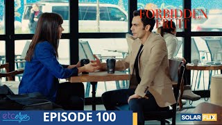 Forbidden Fruit Episode 100  FULL EPISODE  TAGALOG DUB  Turkish Drama [upl. by Marquet]