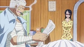 Smokey Learns About Luffy and Laws Victory  One Piece 736 [upl. by Richman201]