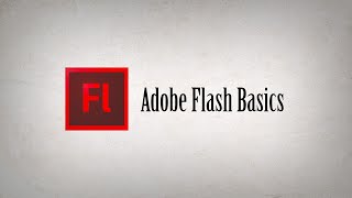 ALAN BECKER  Flash Basics revamped [upl. by Leeann]