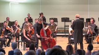 Dittersdorf concerto no 2 first and second movements [upl. by Cameron418]