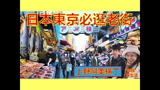 《日本东京自由行》东京必逛必买老街上野阿美横丁秋天银杏红叶美景 Tokyo Trip Ameyoko Market Ueno Tokyo [upl. by Eimmat]